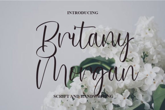 Britany Morgan: A Script Font for Elegant Design