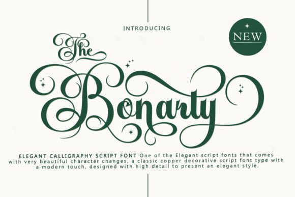 Elevate Your Visual Communication with The Bonarty Script
