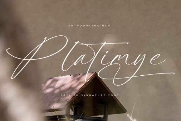 Platimye: Elevate Your Designs with Sophisticated Script Typography